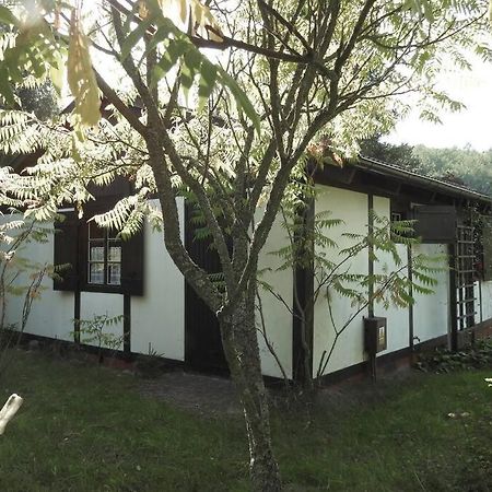 Modrzewiowy Domek Letniskowy - Stare Czaple Brodnica  Extérieur photo