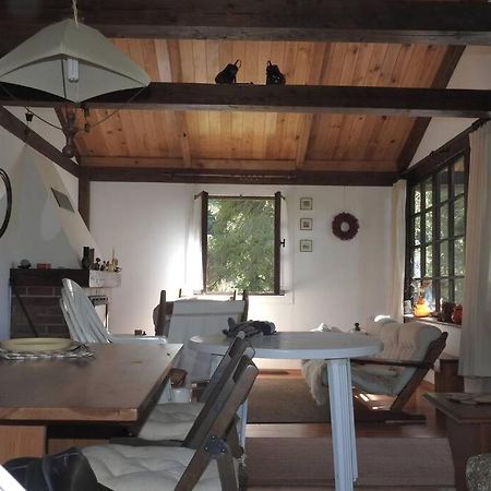 Modrzewiowy Domek Letniskowy - Stare Czaple Brodnica  Extérieur photo