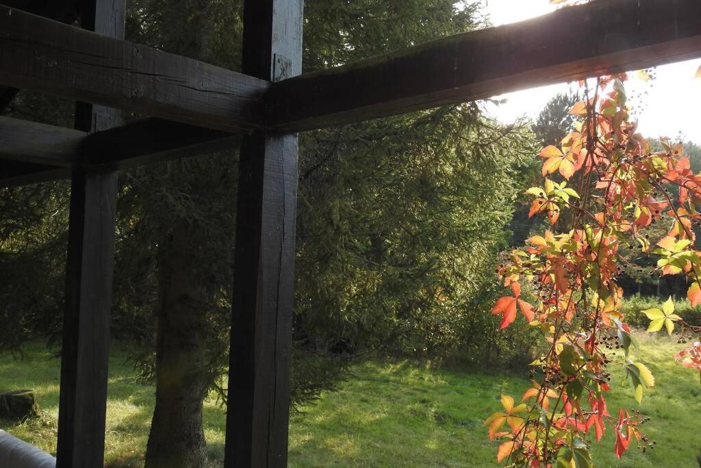 Modrzewiowy Domek Letniskowy - Stare Czaple Brodnica  Extérieur photo
