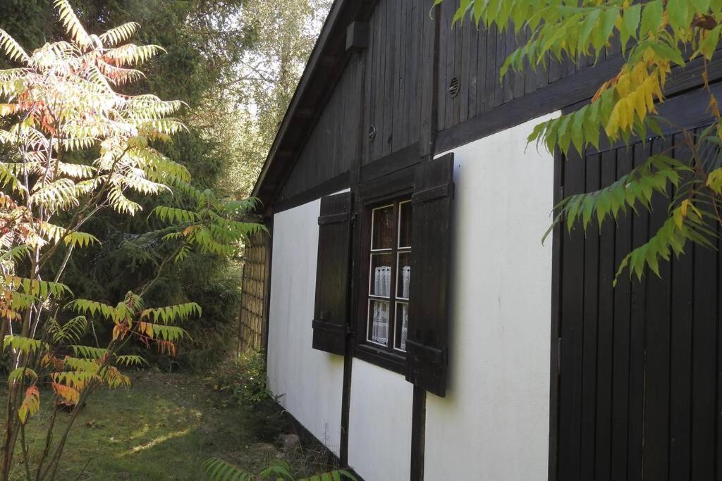 Modrzewiowy Domek Letniskowy - Stare Czaple Brodnica  Extérieur photo