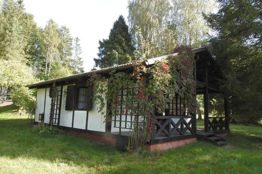 Modrzewiowy Domek Letniskowy - Stare Czaple Brodnica  Extérieur photo